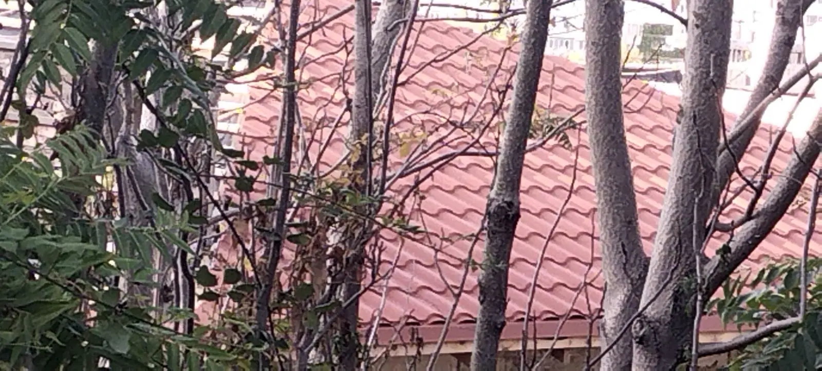 Крыша дома в Балаклаве